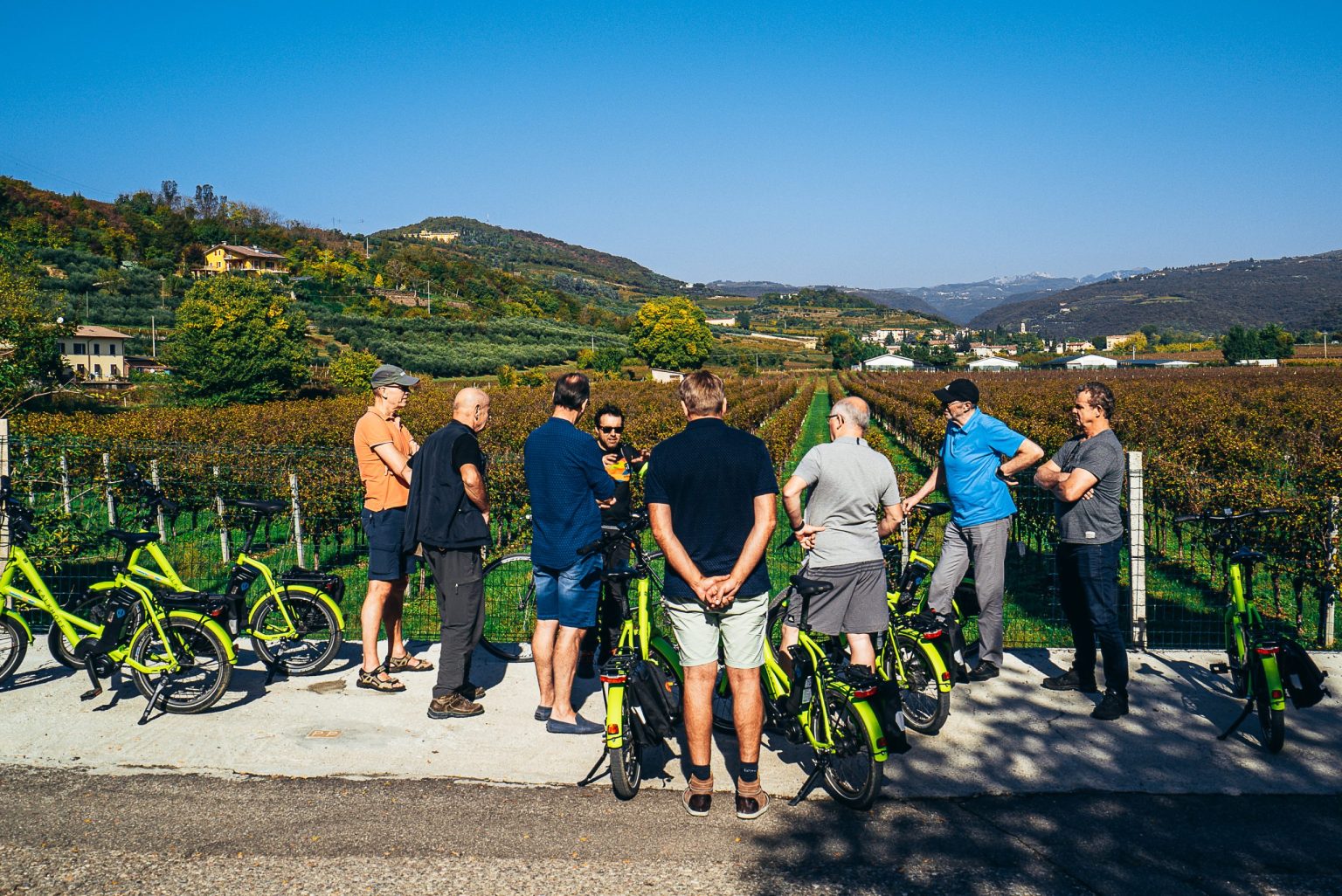Amarone Wine e-Bike Tour in Valpolicella