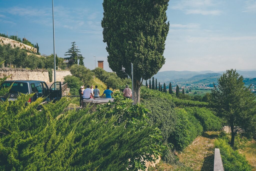 amarone wine tour in valpolicella, amarone wine tour, wine tour in verona, from verona to valpolicella