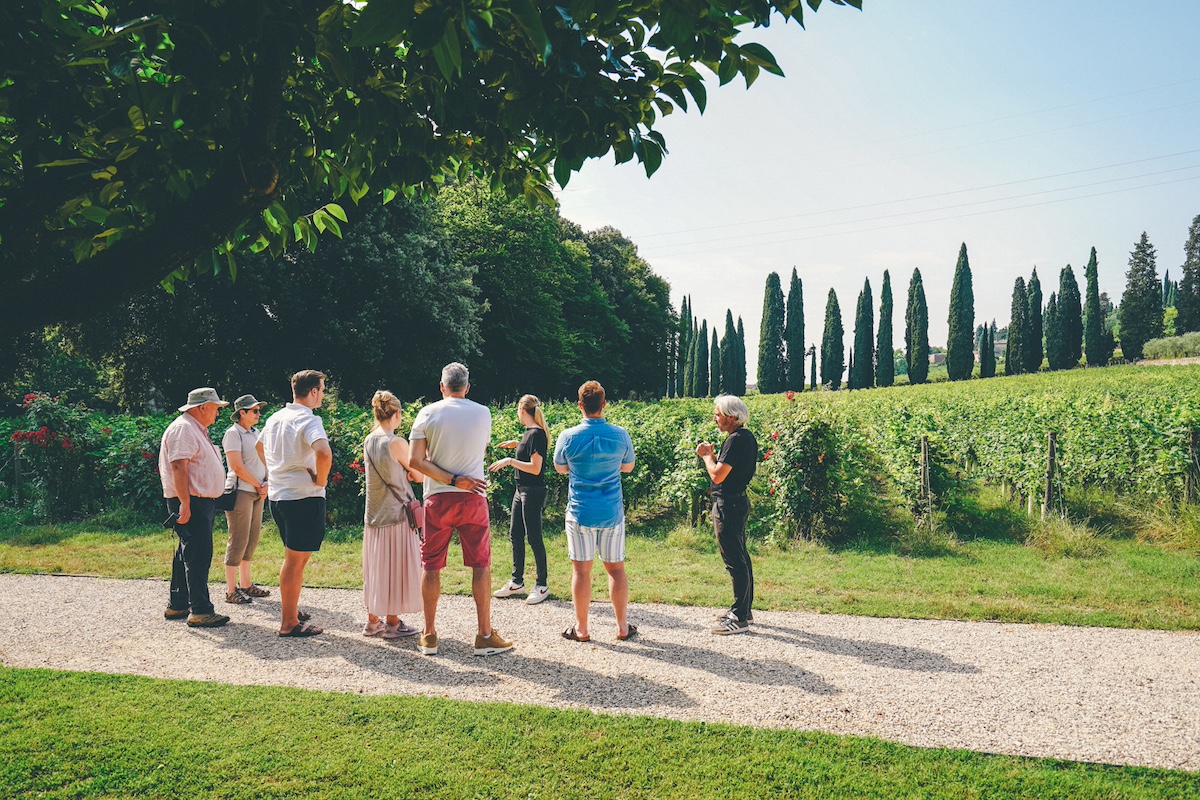 Amarone wine tasting tour, amarone wine tasting, wine tasting in verona, wine tour in valpolicella