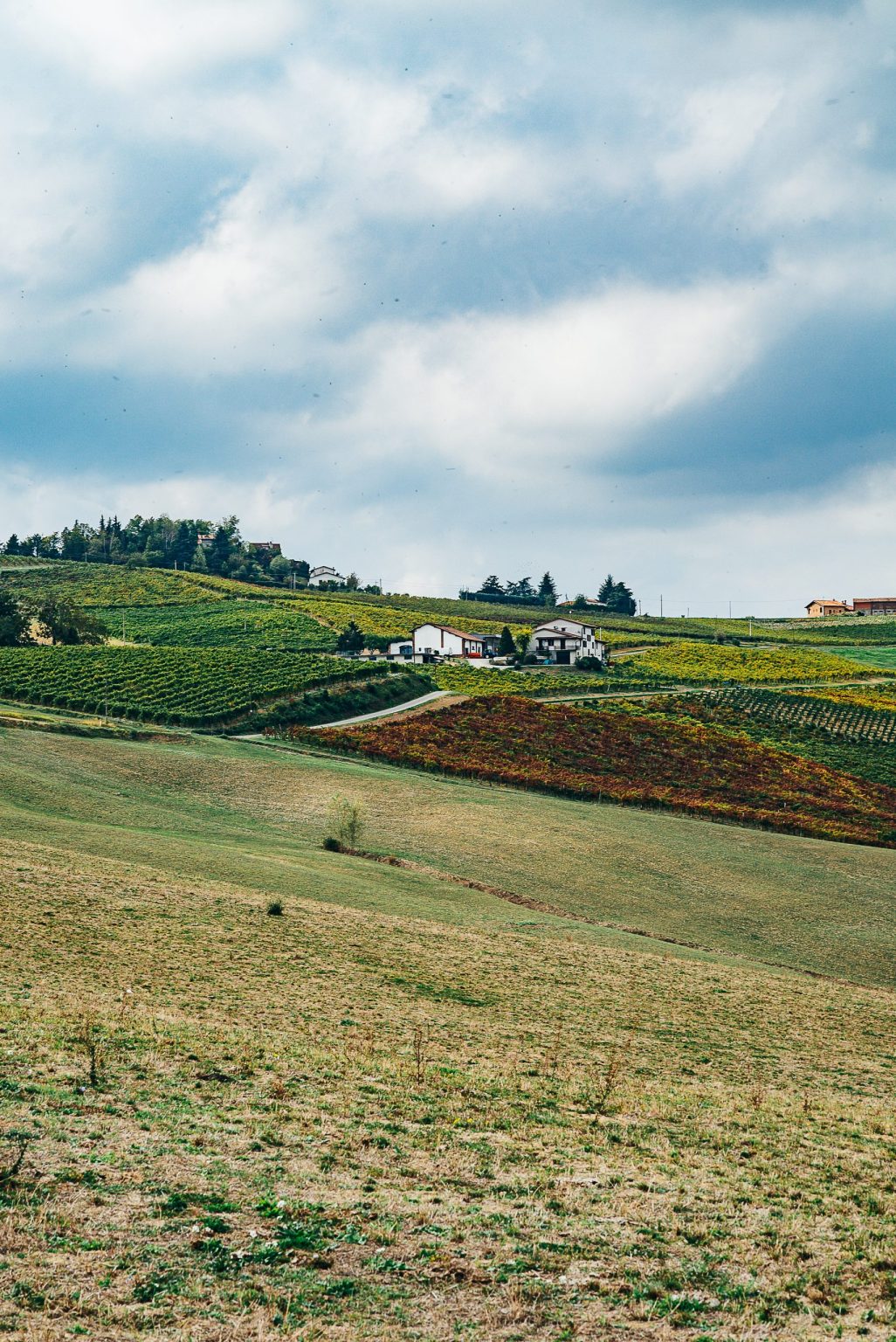 milan countryside, Wine tour dell'Oltrepò Pavese da Milano