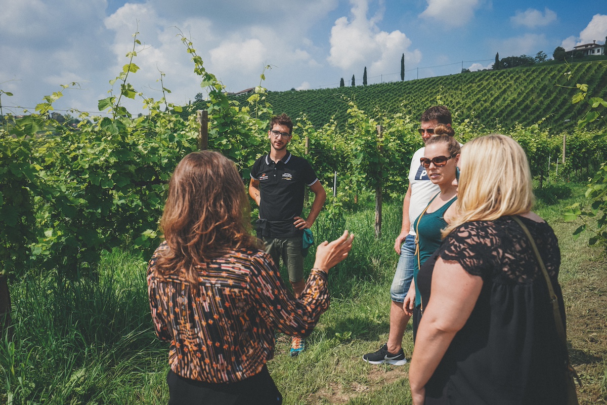 Prosecco Wine Tour from Venice, Prosecco hills, Prosecco region, Wine Tour in Prosecco region, Winery visit in Conegliano and Valdobbiadene