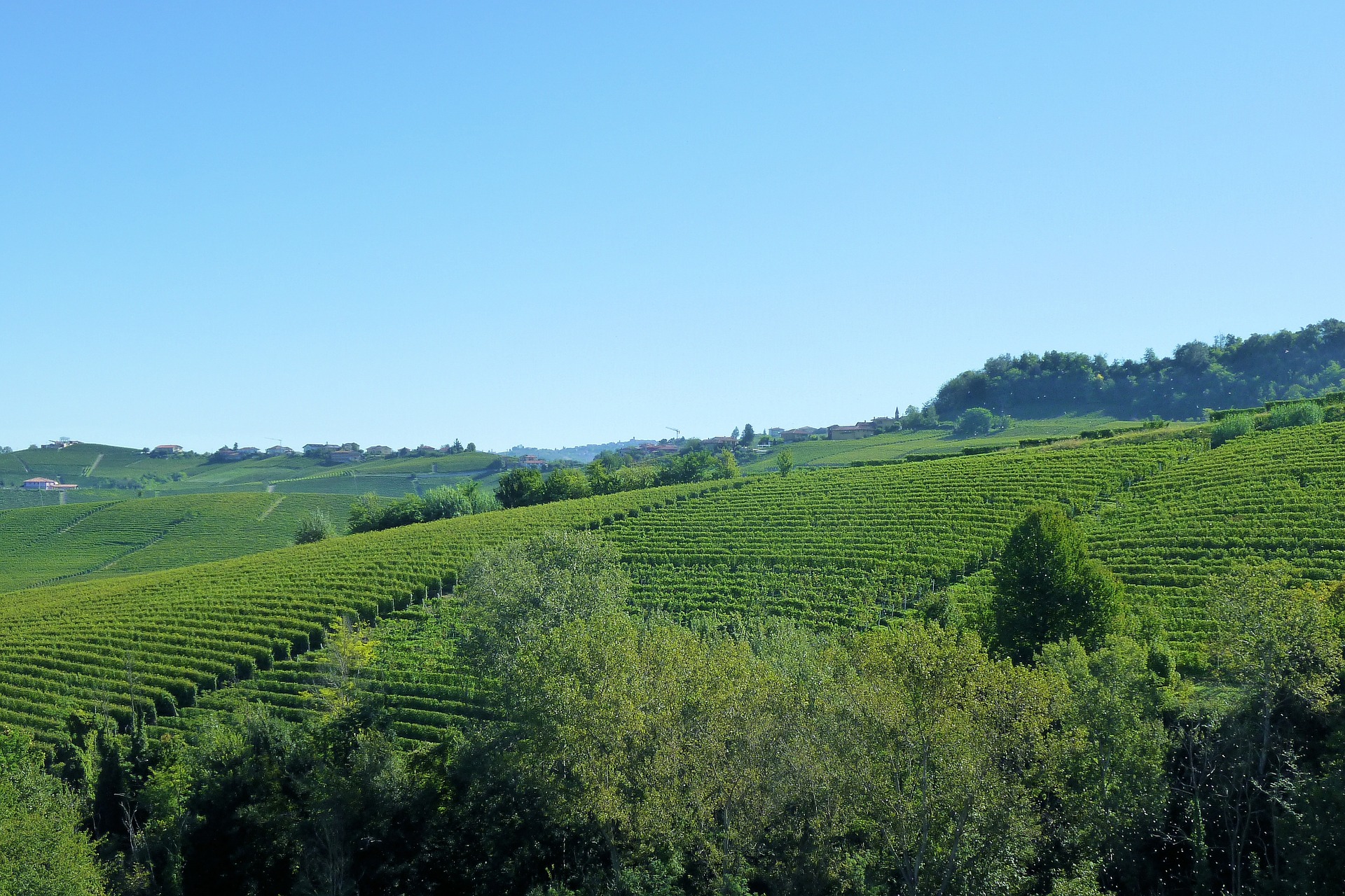 langhe and barolo