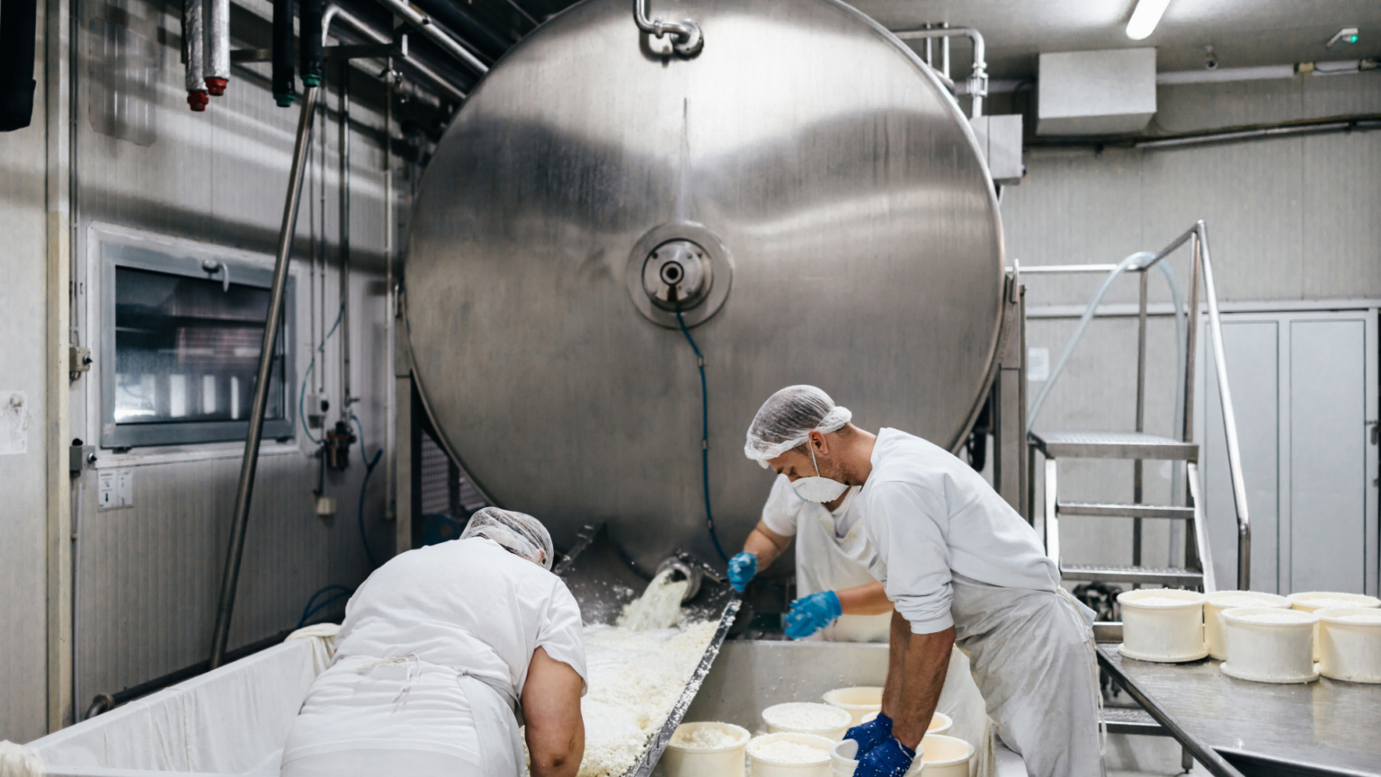 Gourmet Day Tour of Bologna’s Food Valley 3