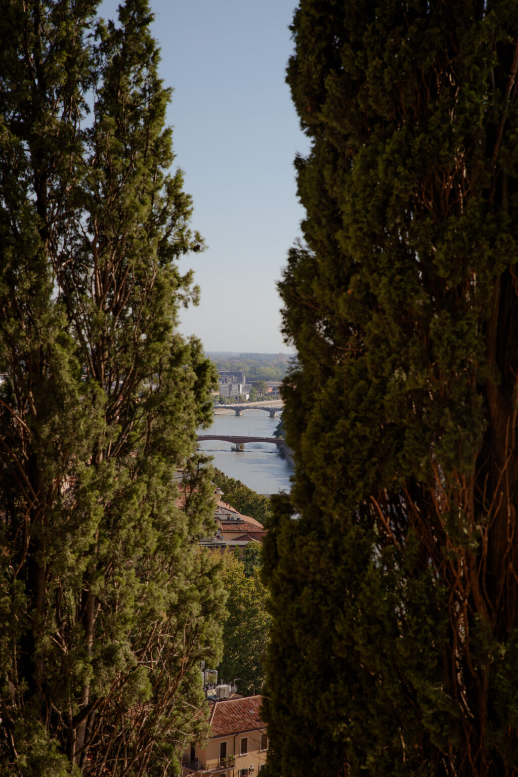 Sunset Rooftop Tour of Verona 6