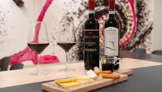 amarone wine tasting at montresor winery, wine tasting in verona, winery tour verona